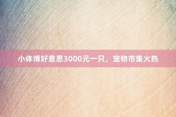 小体博好意思3000元一只,宠物市集火热